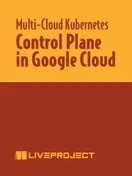 Control Plane in Google Cloud