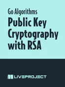 Public Key Cryptography with RSA