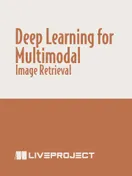 Deep Learning for Multimodal Image Retrieval
