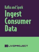 Ingest Consumer Data