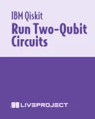 Run Two-Qubit Circuits