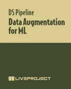 Data Augmentation for ML