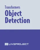 Object Detection