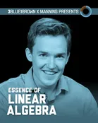 3Blue1Brown: Essence of Linear Algebra