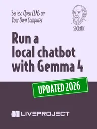 Run a Local Chatbot With Gemma 4