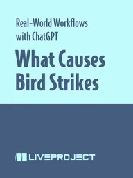 What Causes Bird Strikes