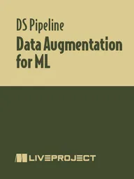 Data Augmentation for ML