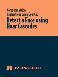 Detect a Face Using Haar Cascades