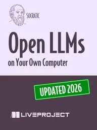 Open LLMs on Your Own Computer