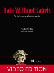 Data Without Labels Video Edition