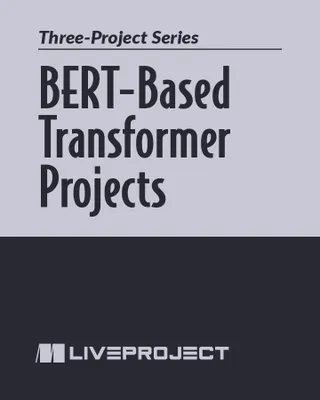 BERT-Based Transformer Projects