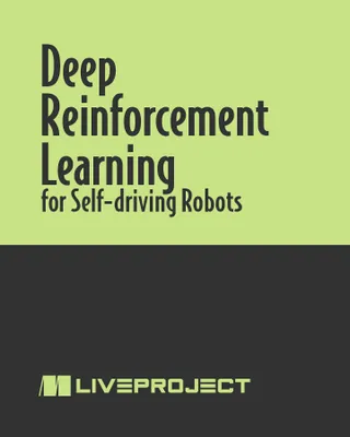 Deep Reinforcement Learning for Self-Driving Robots