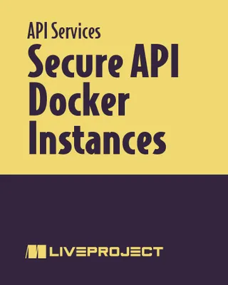 Secure API Docker Instances