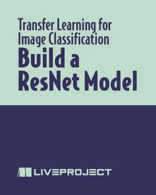 Build a ResNet Model