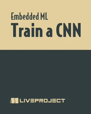 Train a CNN