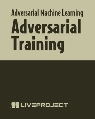 Adversarial Training