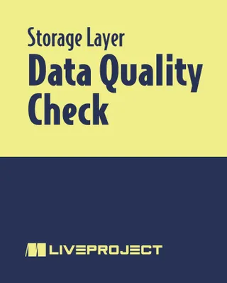 Data Quality Check