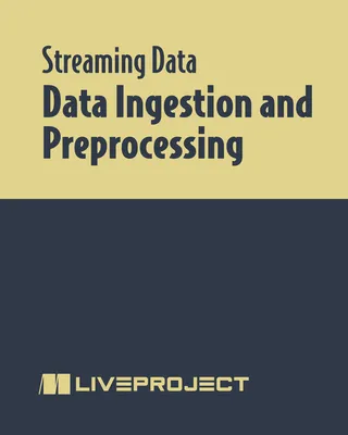 Data Ingestion and Preprocessing