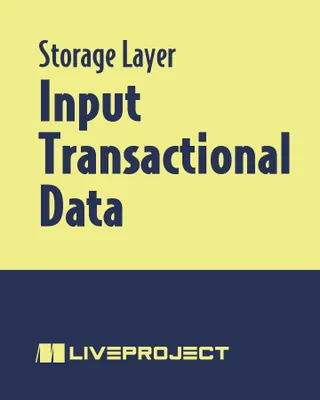 Input Transactional Data