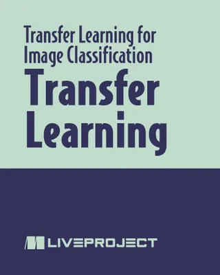 Transfer Learning