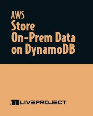 Store On-Prem Data on DynamoDB