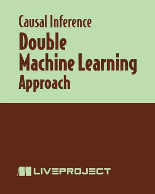 Double Machine Learning Approach
