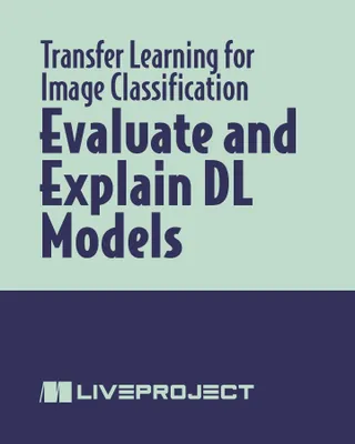 Evaluate and Explain DL Models