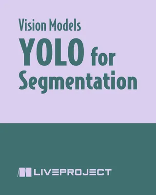 YOLO for Segmentation