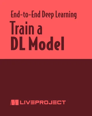 Train a DL Model