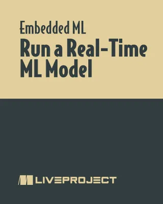 Run a Real-Time ML Model