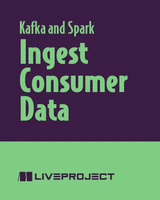 Ingest Consumer Data