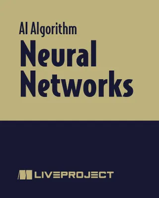 Neural Networks