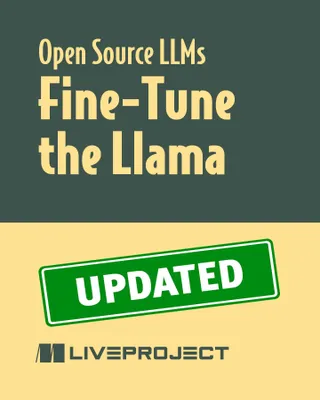 Fine-Tune the Llama Model