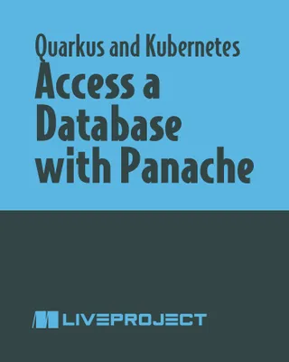 Access a Database with Panache