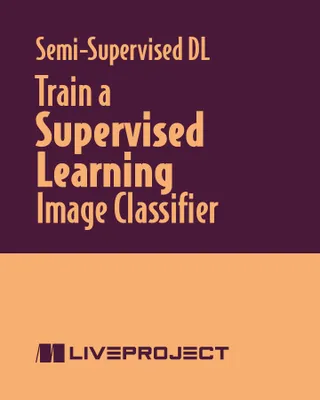 Train a Supervised Learning Image Classifier