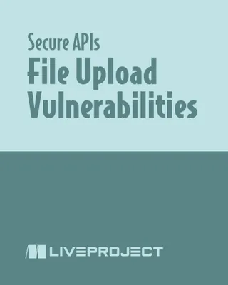 File Upload Vulnerabilities