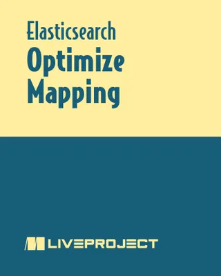Optimize Mapping