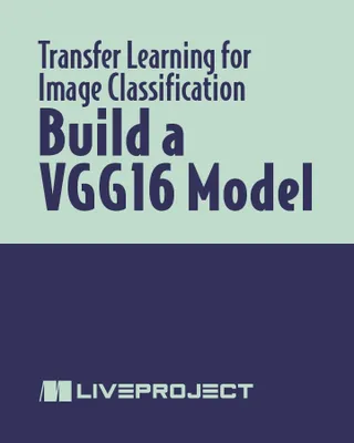 Build a VGG16 Model