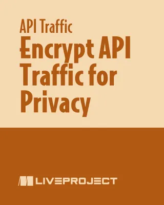 Encrypt API Traffic for Privacy