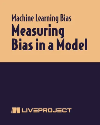Measuring Bias in a Model