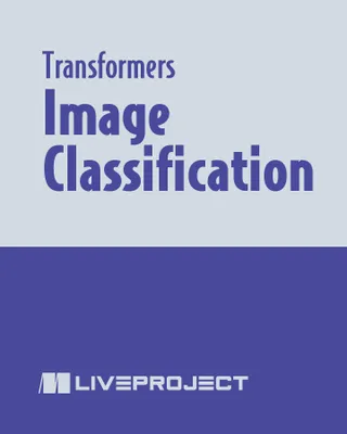Image Classification