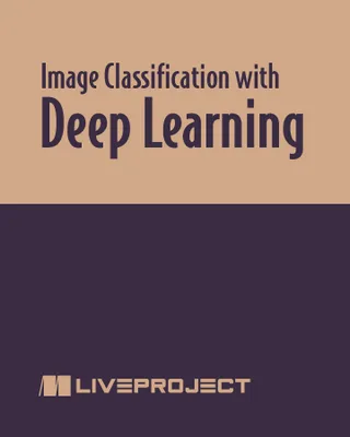 Image Classification with Deep Learning
