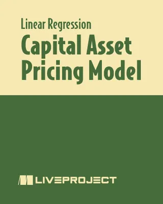 Capital Asset Pricing Model