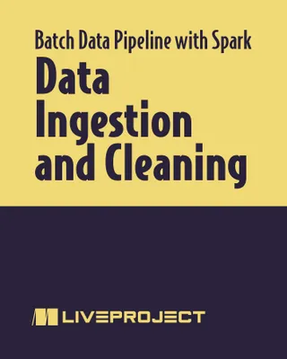 Data Ingestion and Cleaning