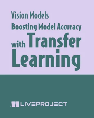 Boosting Model Accuracy with Transfer Learning