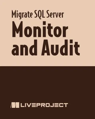 Monitor and Audit