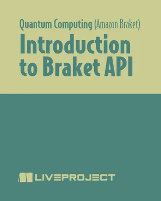 Introduction to Braket API