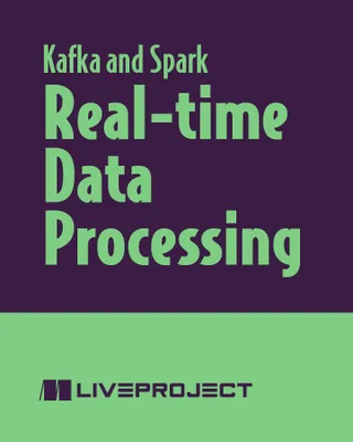 Real-time Data Processing