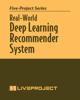 Real-World Deep Learning Recommender System