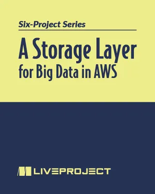 A Storage Layer for Big Data in AWS